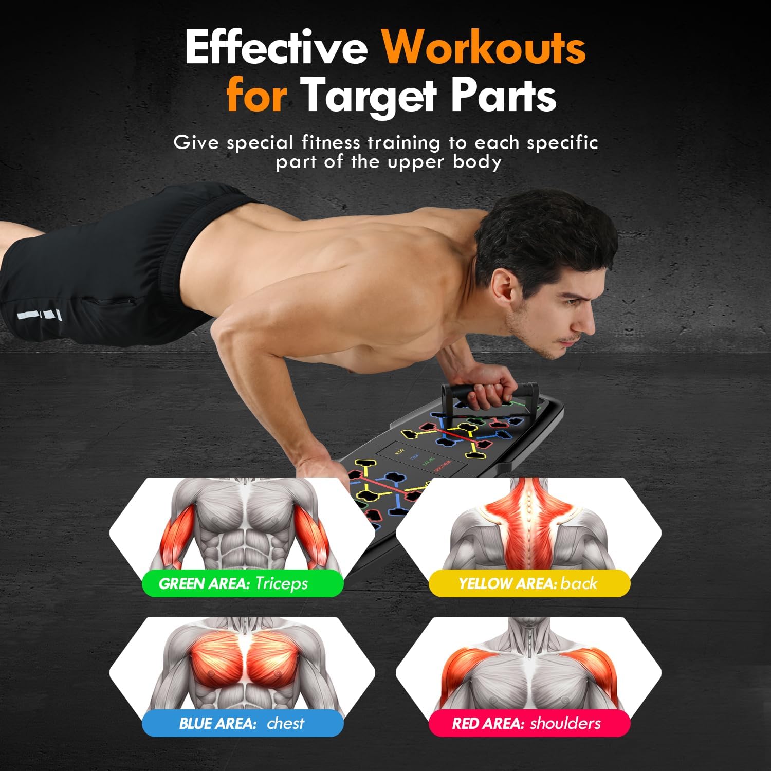 Push Up Board Home Gym Set – Portable Full Body Workout Kit with Pilates Bar, Resistance Bands, Ab Roller & 20 Fitness Accessories